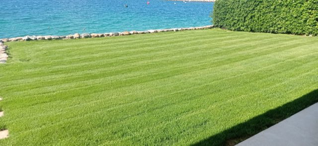 Prato tagliato a strisce regolari che arriva fino al muretto in pietra sul mare